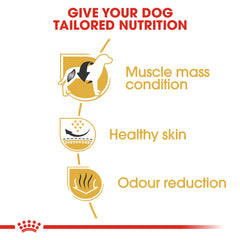 Royal Canin Breed Health Nutrition French Bulldog Adult 3 KG