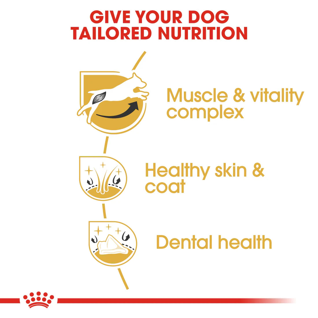 Royal Canin Breed Health Nutrition Jack Russell Adult 1.5 KG