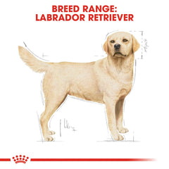 Royal Canin Breed Health Nutrition Labrador Adult - 3KG