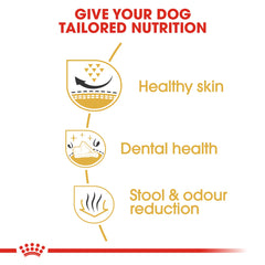 Royal Canin Breed Health Nutrition Shih Tzu Adult 1.5 KG