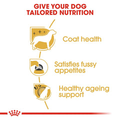 Royal Canin Breed Health Nutrition Yorkshire Adult 1.5 KG