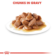 Royal Canin Feline Care Nutrition Hairball Gravy (WET FOOD - Pouches) 12 x 85g