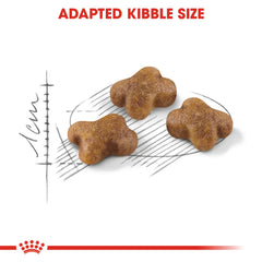 Royal Canine Feline Health Nutrition Kitten