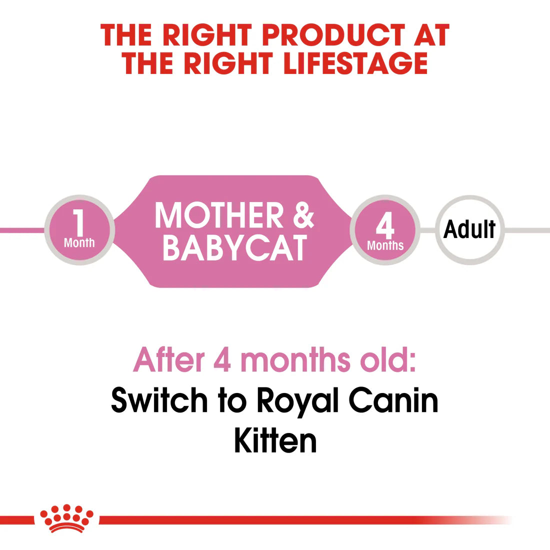 Royal Canin Feline Health Nutrition Mother & Babycat Mousse (WET FOOD - Cans) 12 x 195g