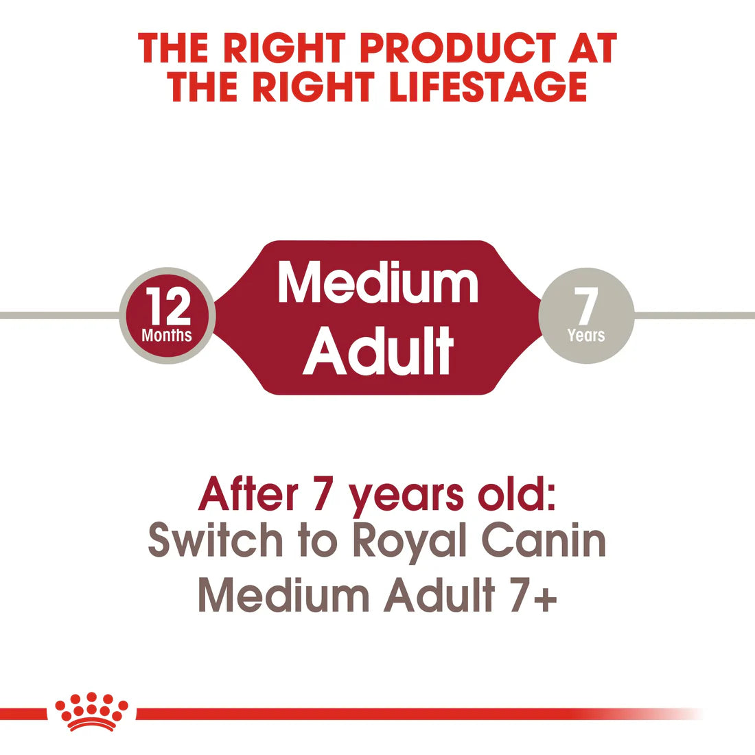 Royal Canin Size Health Nutrition Medium Adult - 4KG