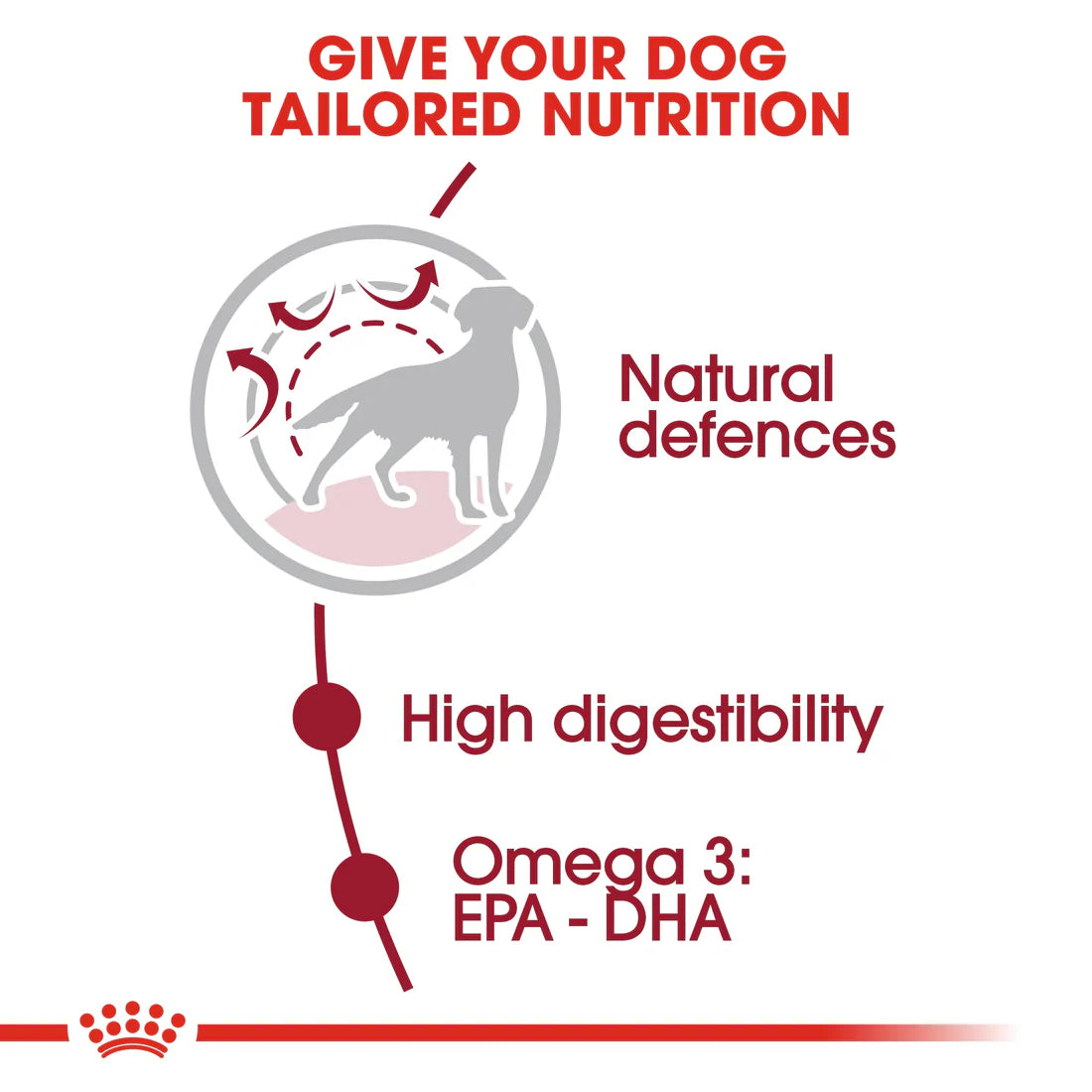 Royal Canin Size Health Nutrition Medium Adult - 4KG