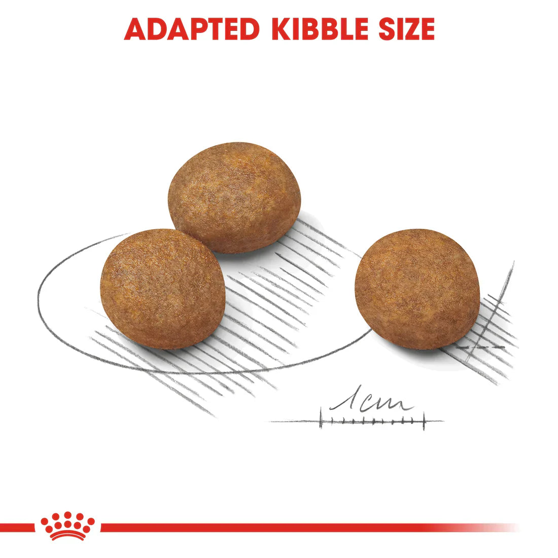 Royal Canin Size Health Nutrition Maxi Puppy 10 KG