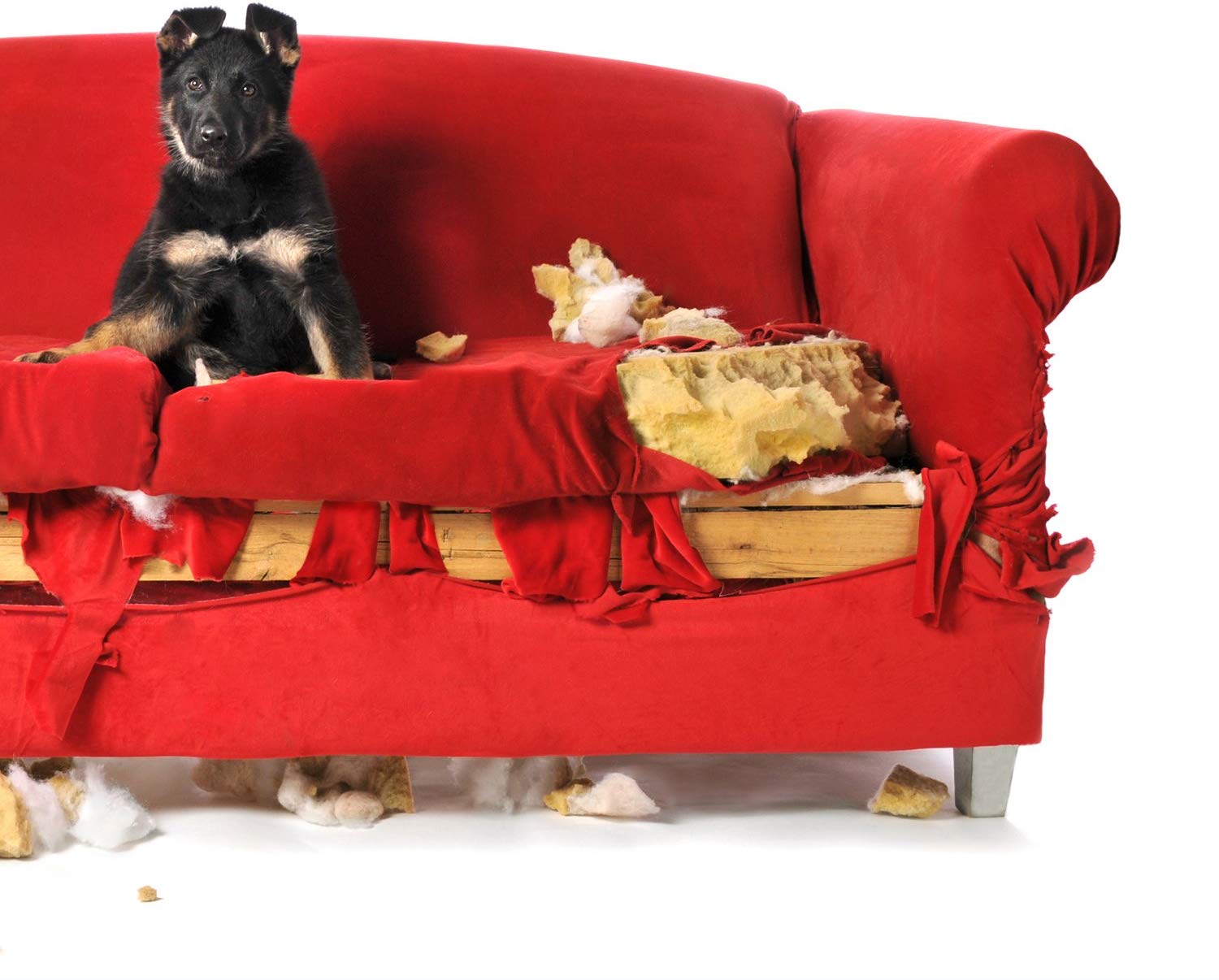 Simple Solution Puppy Chew Stopper 500 ml