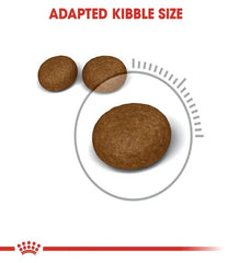 Royal Canin Feline Care Nutrition Hair & Skin 4 KG