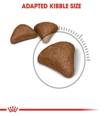 Royal Canin Feline Care Nutrition Hairball Care 4 KG