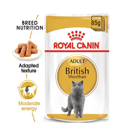 Royal Canin Feline Breed Nutrition British Shorthair (WET FOOD - Pouches)