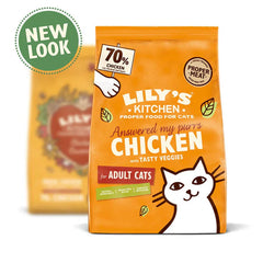Lily's Kitchen Chicken Casserole Dry Cat Food
