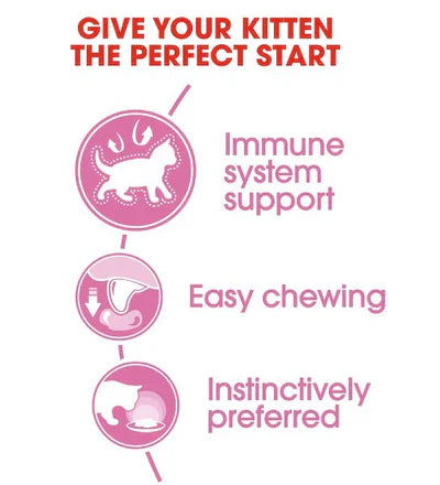 Royal Canin Feline Health Nutrition Kitten Jelly (WET FOOD - Pouches) 85g