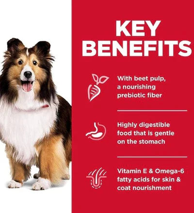 Hill’s Science Plan Sensitive Stomach & Skin Medium Adult Dog Food With Chicken 2.5KG