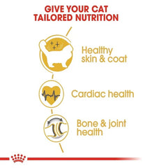 Royal Canin Feline Breed Nutrition Ragdoll Adult 2 KG