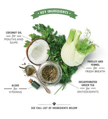 Lily's Kitchen Woofbrush Dental Dog Chews Bulk Pack Medium