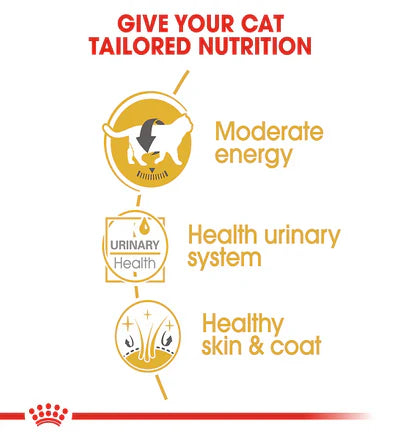 Royal Canin Feline Breed Nutrition British Shorthair (WET FOOD - Pouches)
